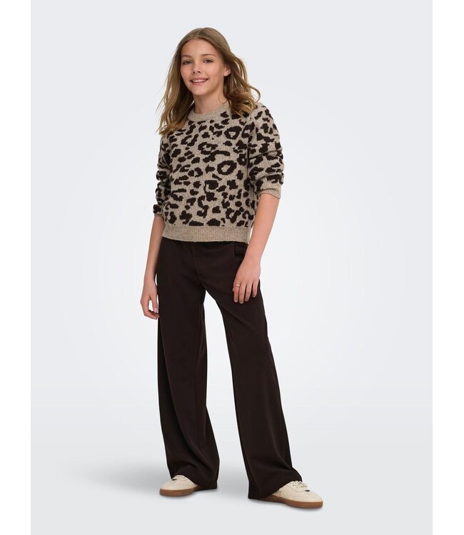 FW Kids Only: Trui Dora 15360202 (Savannah)