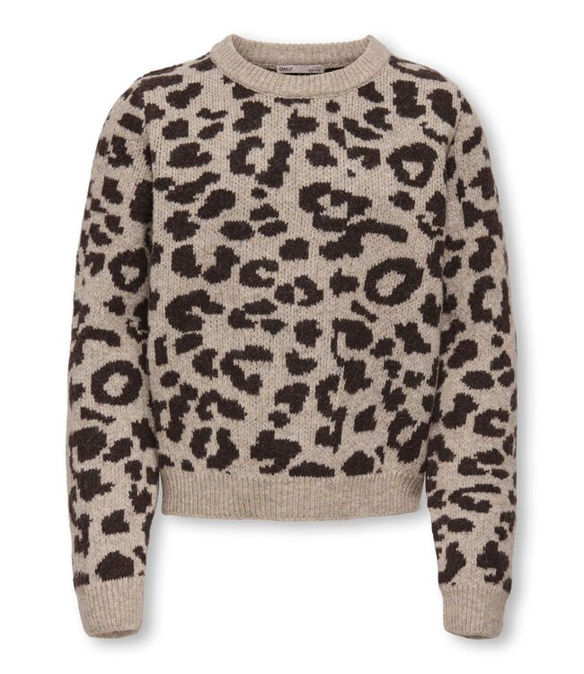 FW Kids Only: Trui Dora 15360202 (Savannah)