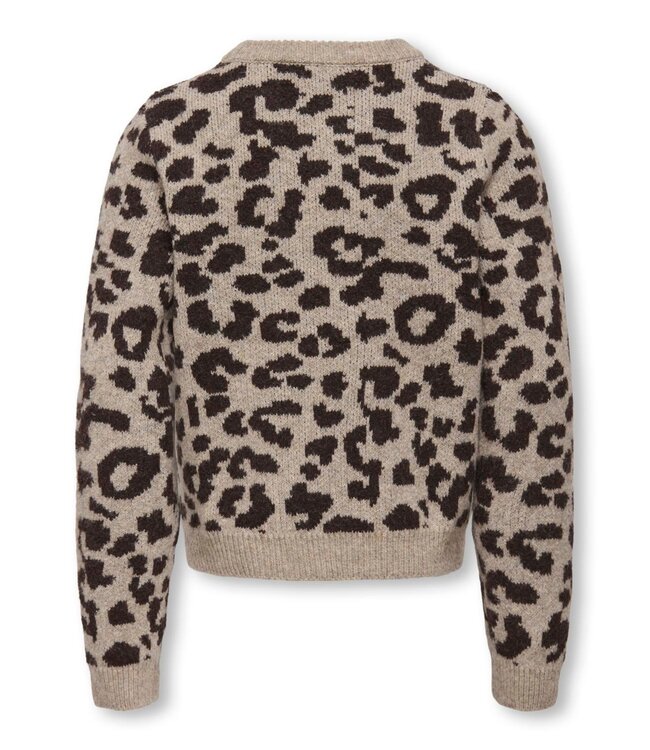 FW Kids Only: Trui Dora 15360202 (Savannah)