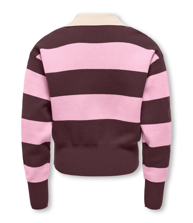 FW Kids Only: Polo Alvi 15379420 (Fudge Pink Lady)