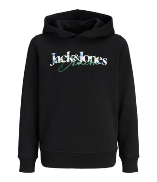 Jack & Jones FW Jack&Jones: Hoodie Tom 12299710 (Black)