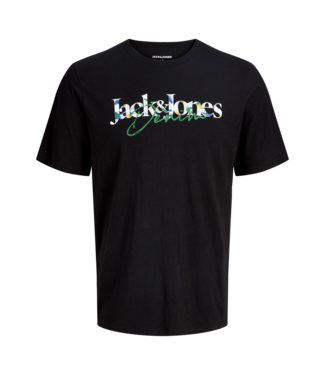 Jack & Jones FW Jack&Jones: T-shirt Tom 12299651 (Black)