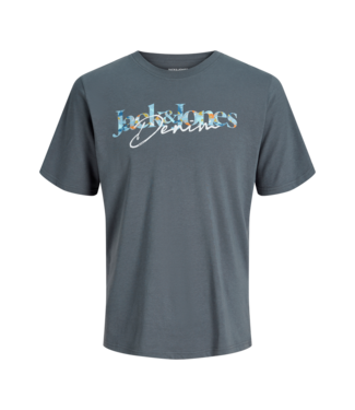 Jack & Jones FW Jack&Jones: T-shirt Tom 12299651 (Turbulence)