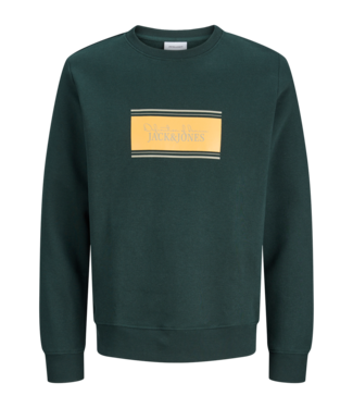 Jack & Jones FW Jack&Jones: Sweater Buster 12299729 (Scarab)