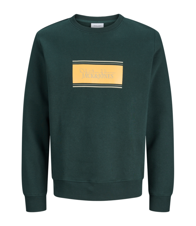Jack & Jones FW Jack&Jones: Sweater Buster 12299729 (Scarab)