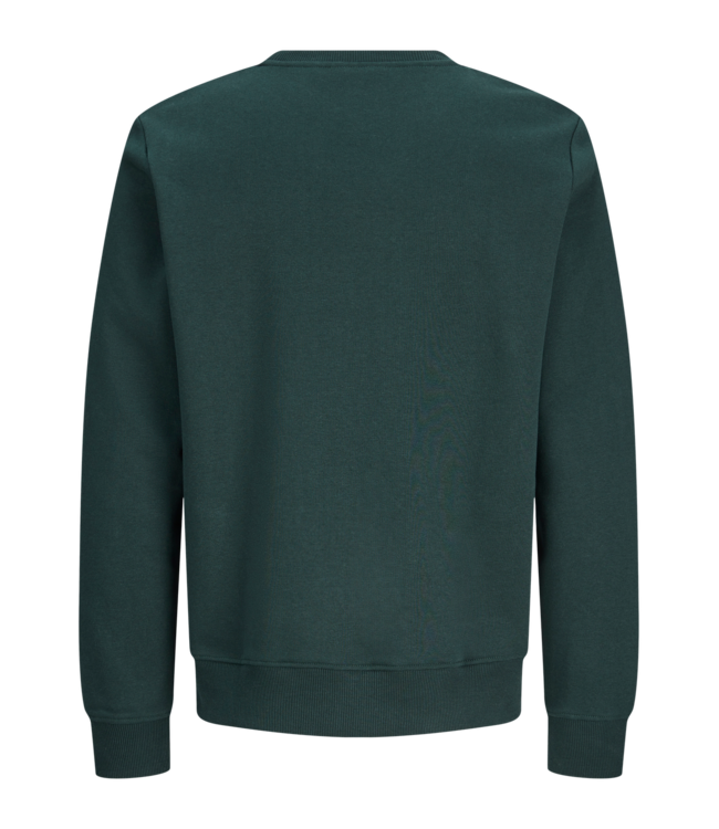 FW Jack&Jones: Sweater Buster 12299729 (Scarab)