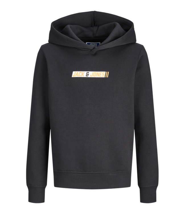 FW Jack&Jones: Hoodie Munk 12299739 (Black)