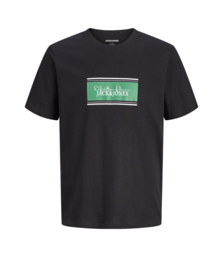 Jack & Jones FW Jack&Jones: T-shirt Buster 12299653 (Black)