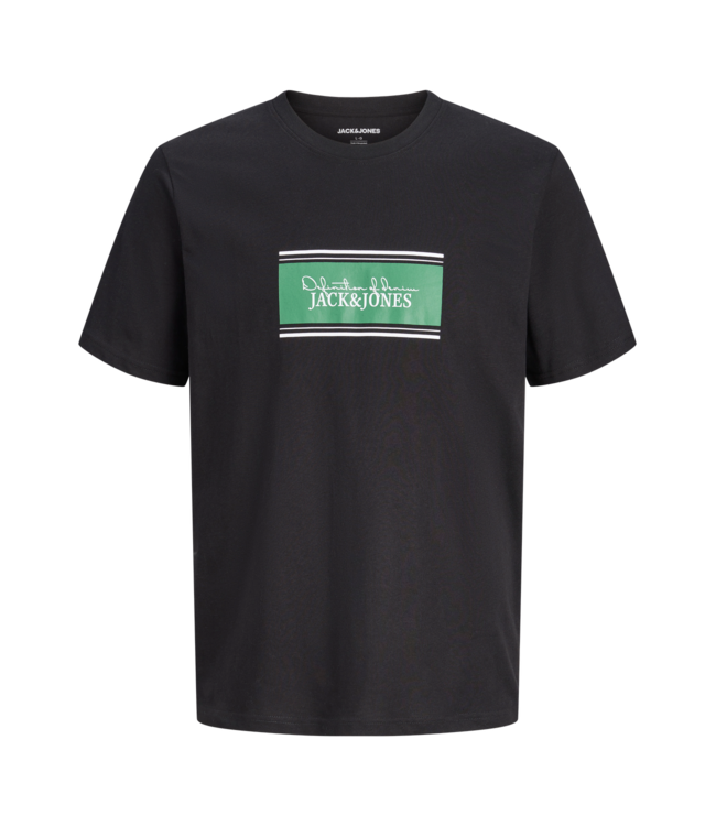 FW Jack&Jones: T-shirt Buster 12299653 (Black)