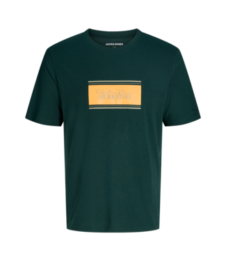 Jack & Jones FW Jack&Jones: T-shirt Buster 12299653 (Scarab)