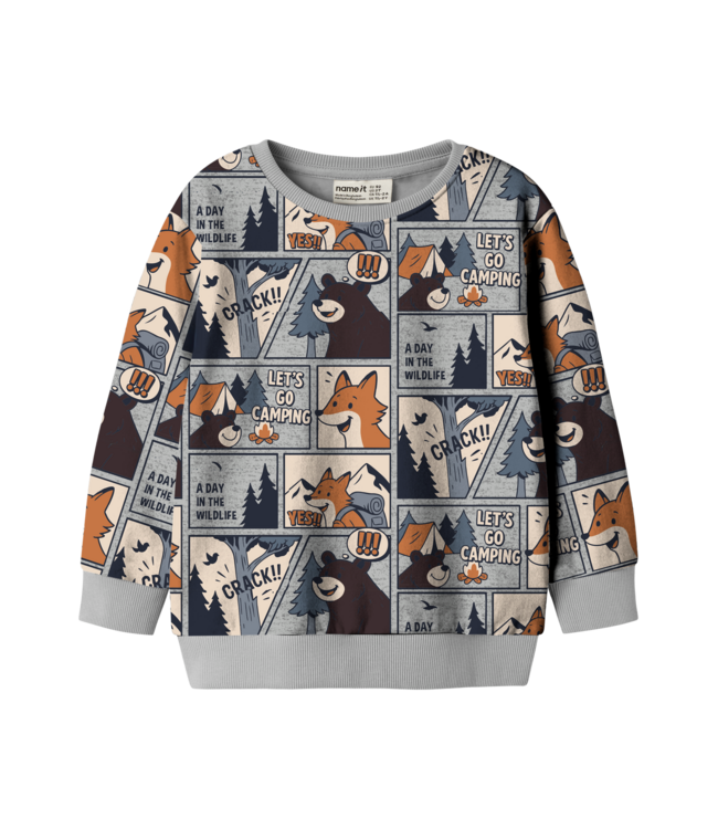 FW Name it: Sweater Waldy 13260177 (Grey melange)
