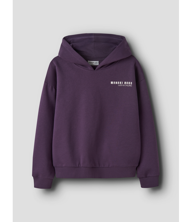 FW Name it: Hoodie Foda 13258665 (Navy Cosmos)