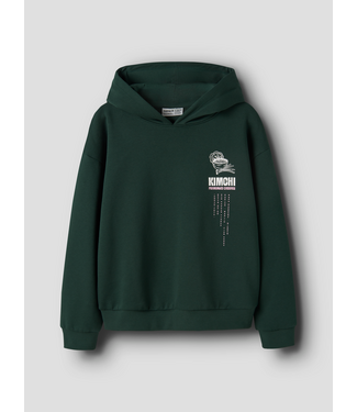 Name it FW Name it: Hoodie Foda 13258665 (Pine grove)