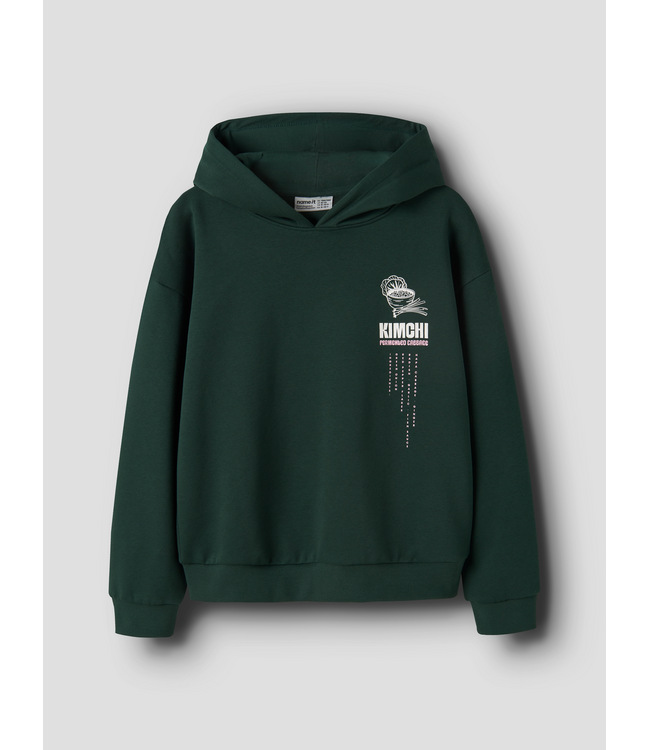 FW Name it: Hoodie Foda 13258665 (Pine grove)