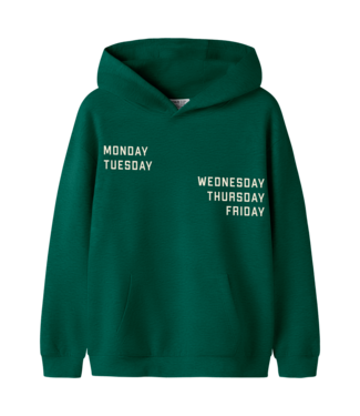 Name it FW Name it: Hoodie Leland 13259113 (Evergreen)