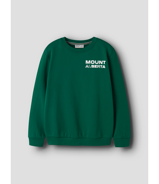 Name it FW Name it: Sweater Obuster 13260360 (Evergreen)