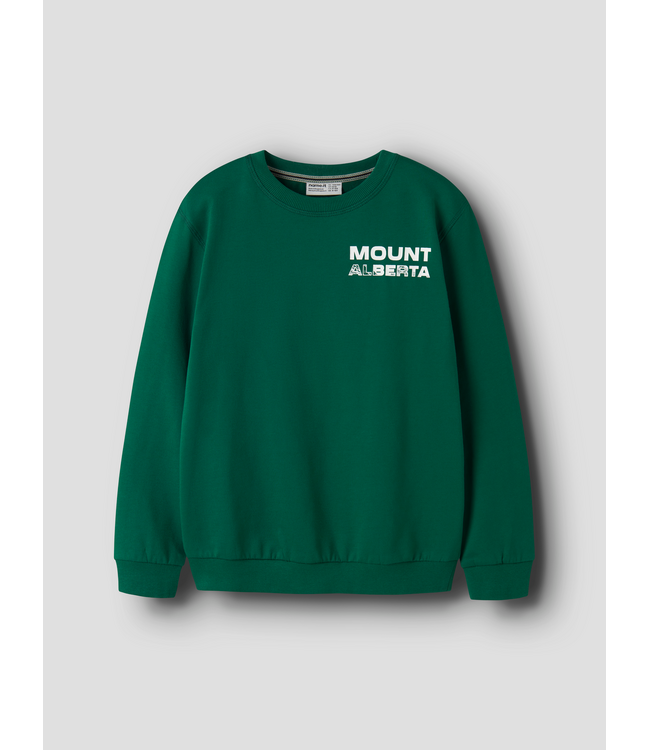 FW Name it: Sweater Obuster 13260360 (Evergreen)