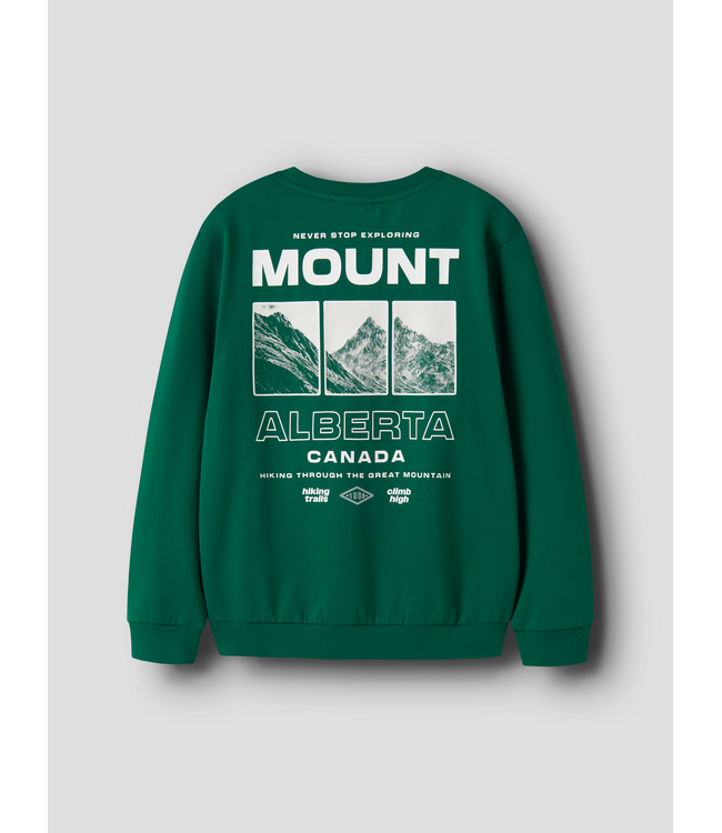 FW Name it: Sweater Obuster 13260360 (Evergreen)