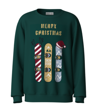 Name it FW Name it: Sweater Vrallo Kerst 13260639 (Botanical garden)