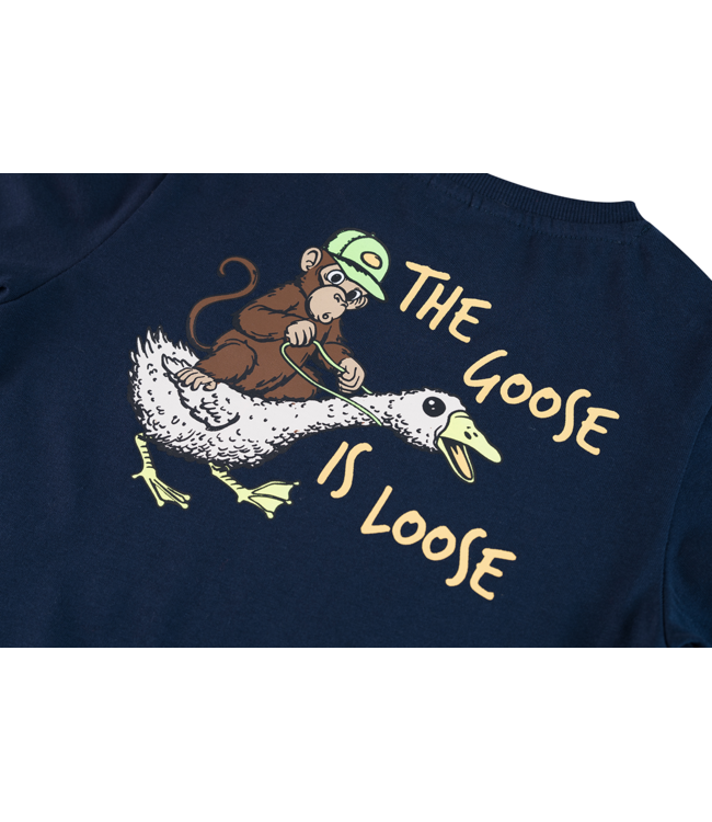 FW Someone: Longsleeve Frankie 300227 (Navy)