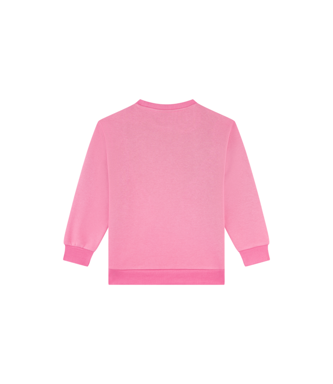 FW Awesome: Sweater Masha 500141 (Pink)