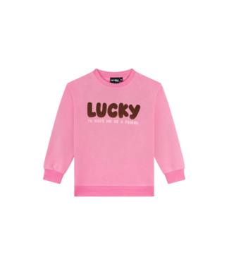 Awesome FW Awesome: Sweater Masha 500141 (Pink)