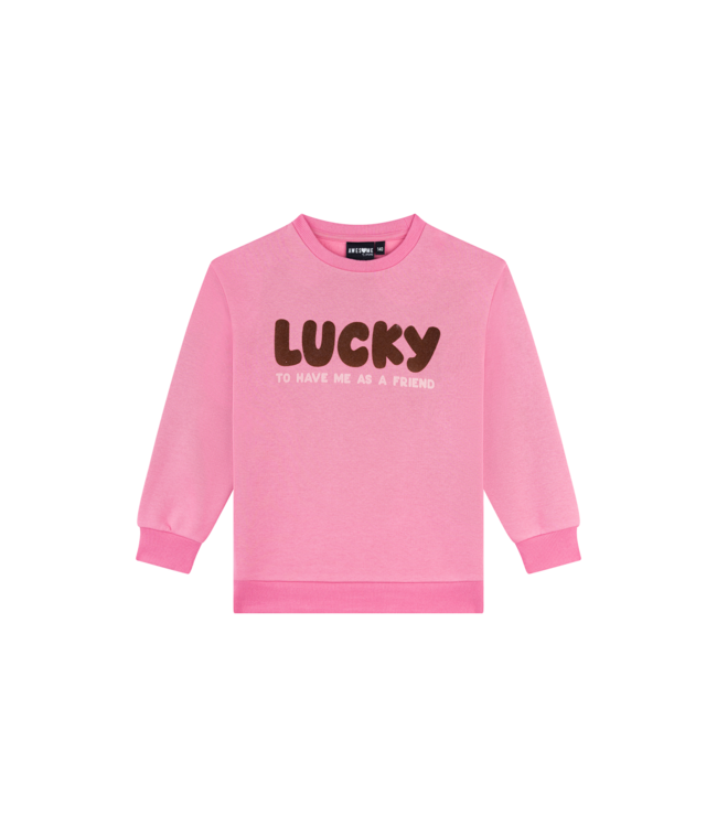 FW Awesome: Sweater Masha 500141 (Pink)