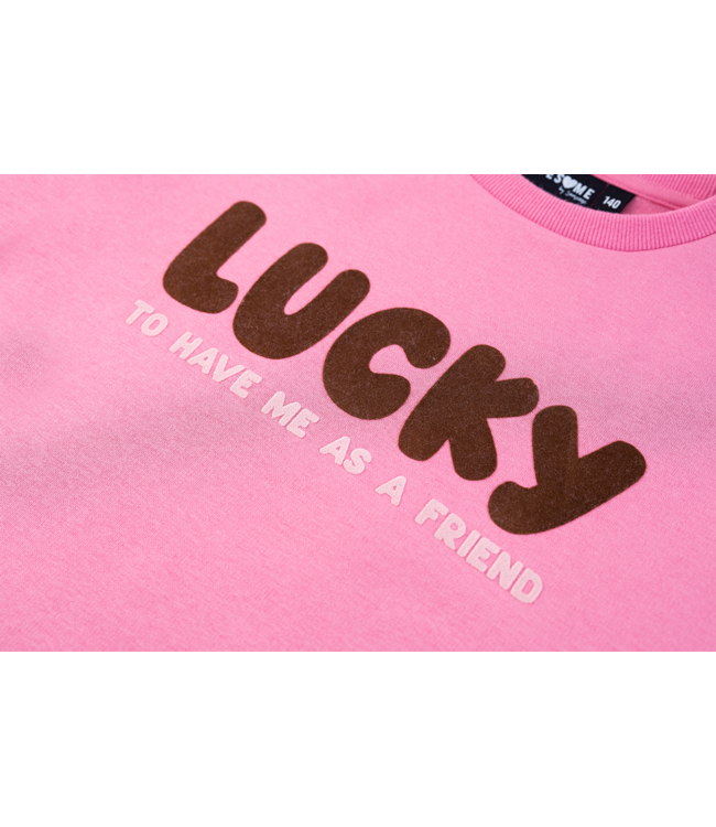 FW Awesome: Sweater Masha 500141 (Pink)