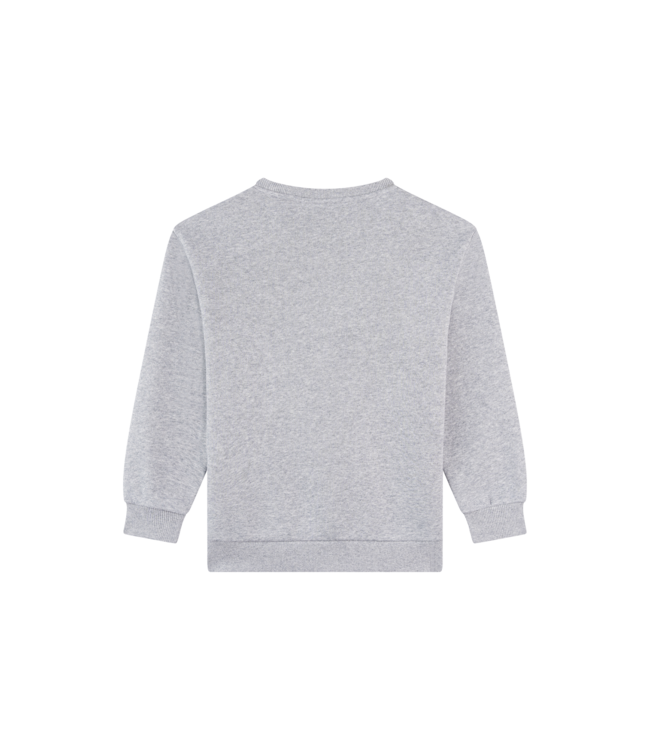 FW Awesome: Sweater Nina 500160 (Grey melange)