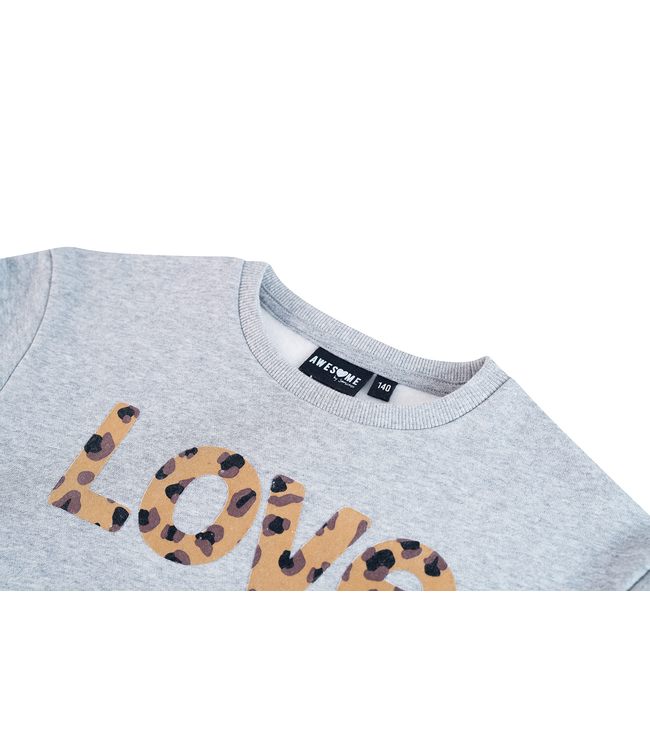 FW Awesome: Sweater Nina 500160 (Grey melange)