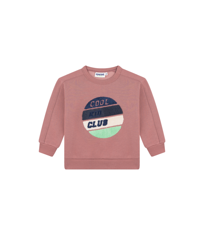 FW Someone: Sweater Fedde 300208 (Light terra)