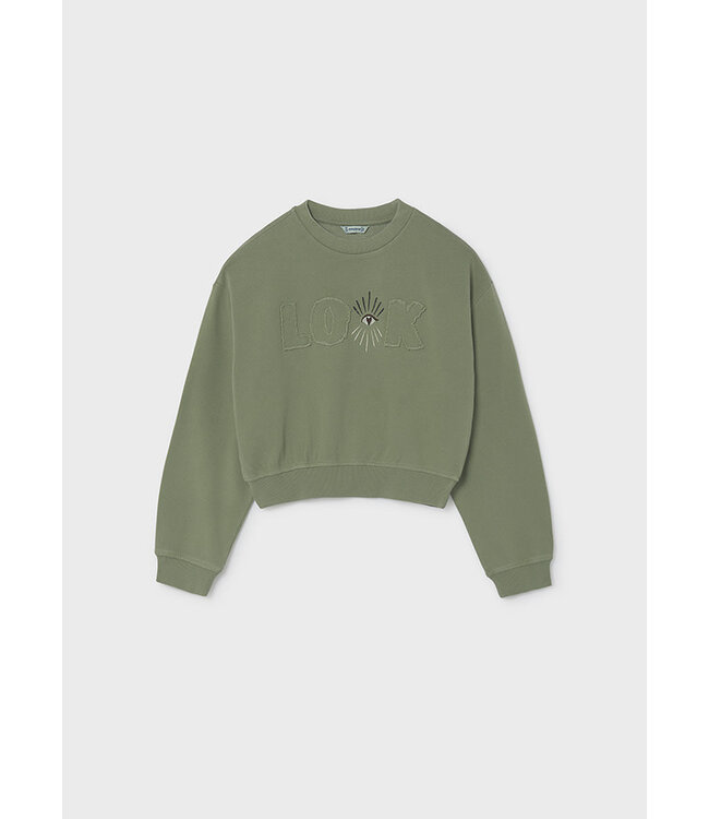 FW Mayoral: Sweater 7427 (Sage)