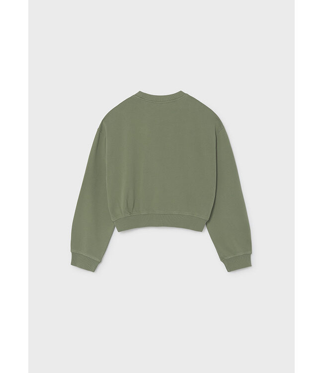 FW Mayoral: Sweater 7427 (Sage)