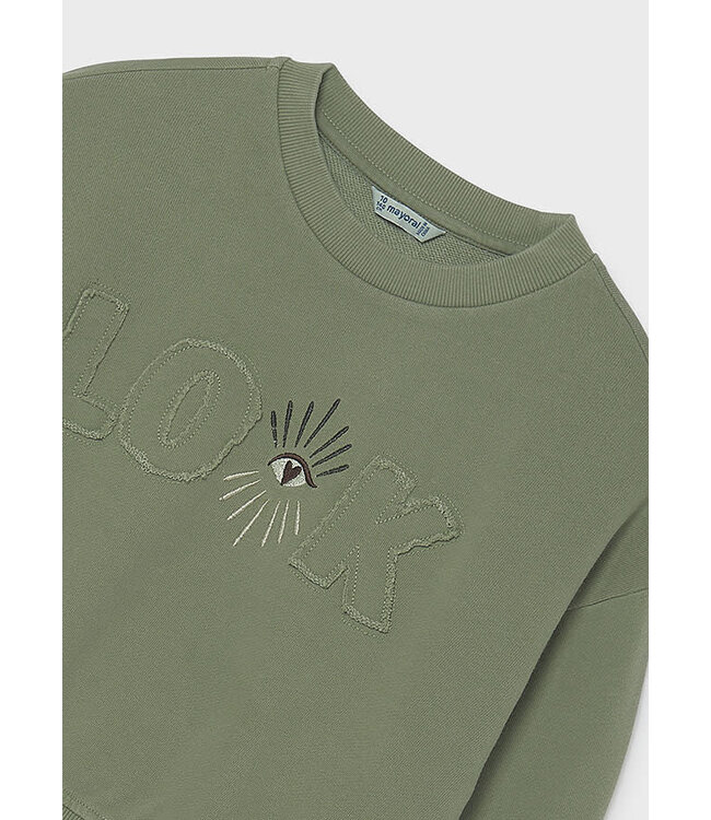 FW Mayoral: Sweater 7427 (Sage)