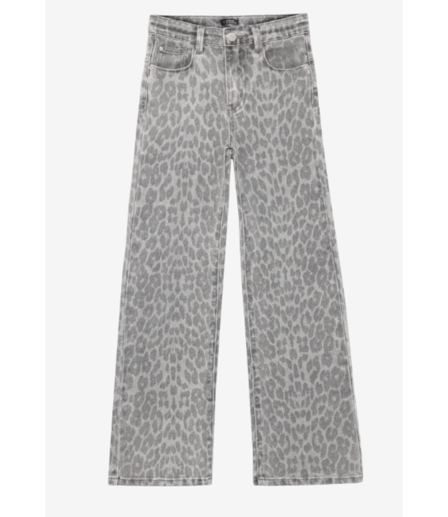FW Indian Blue Jeans: Broek 970906 (Grey)