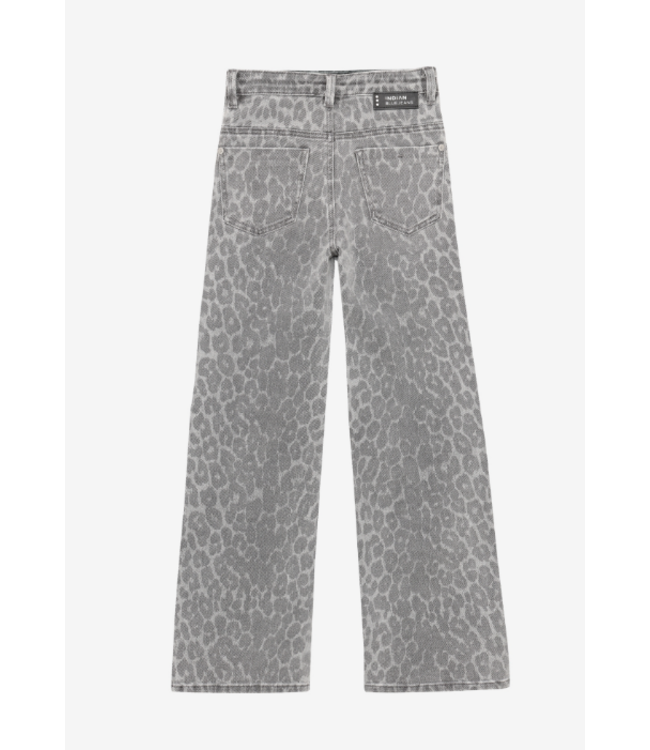 FW Indian Blue Jeans: Broek 970906 (Grey)
