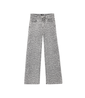 Indian Blue Jeans FW Indian Blue Jeans: Broek 970906 (Grey)