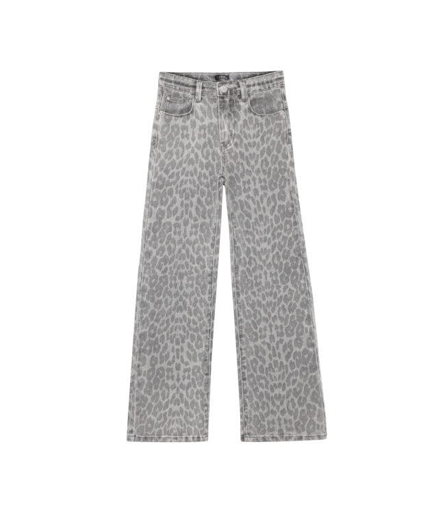 FW Indian Blue Jeans: Broek 970906 (Grey)