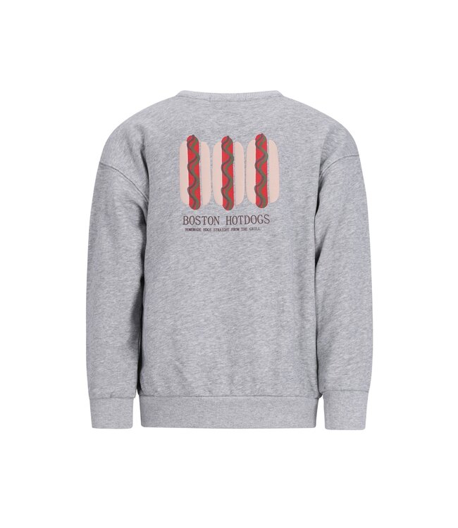FW Like Flo: Sweater Dail 6302 (Grey)