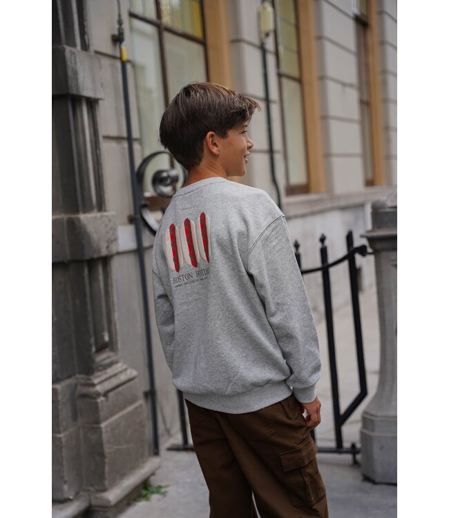 FW Like Flo: Sweater Dail 6302 (Grey)