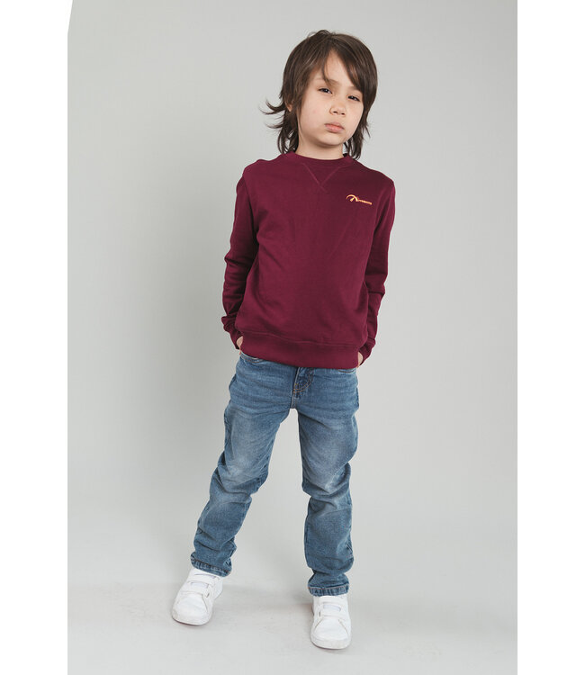 FW TYGO&vito: Sweater Silver 6311 (Merlot)