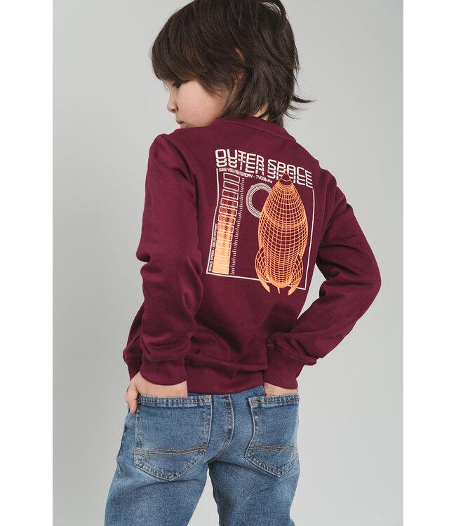 FW TYGO&vito: Sweater Silver 6311 (Merlot)