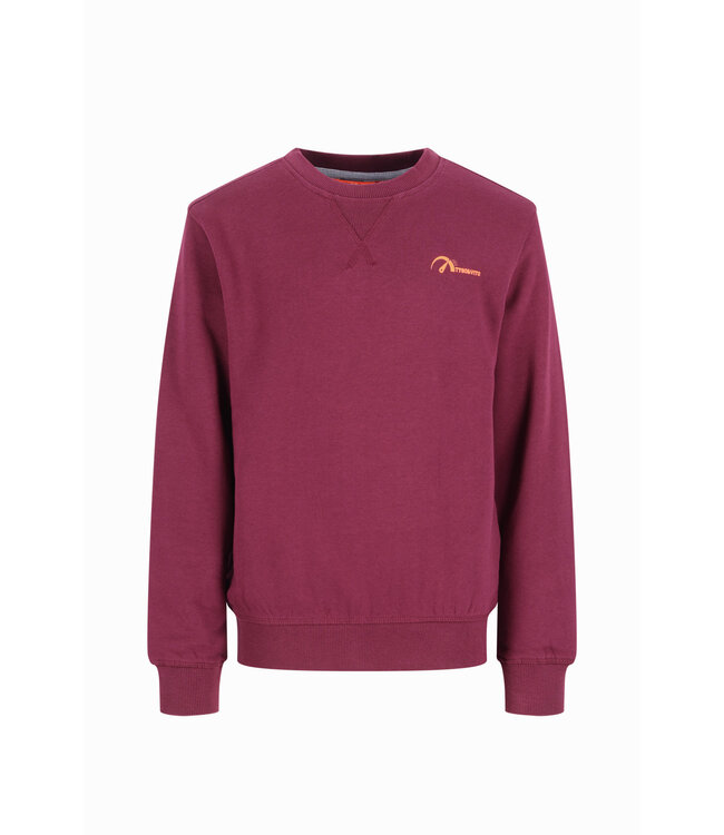 FW TYGO&vito: Sweater Silver 6311 (Merlot)