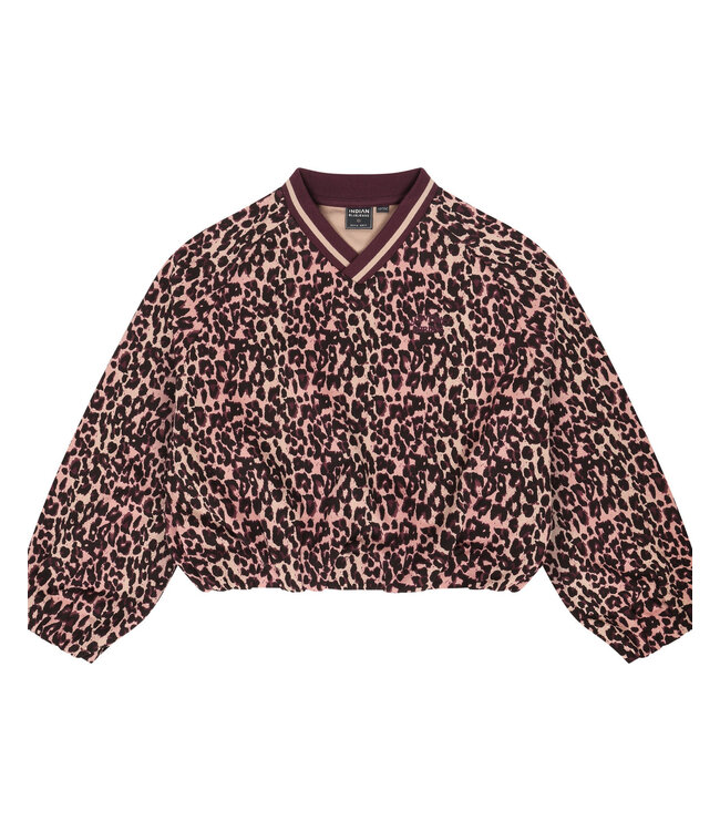 FW Indian Blue Jeans: Sweater Leopard 971040 (Fig)