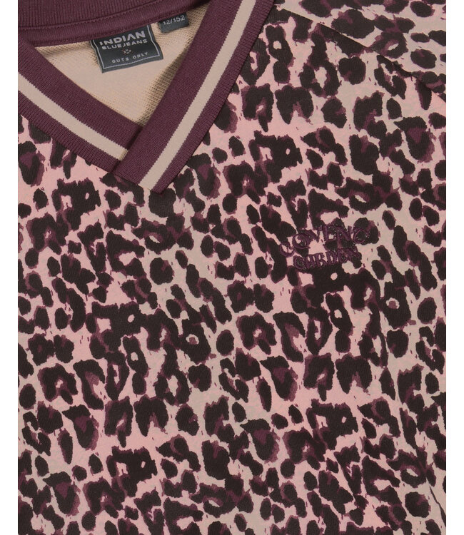 FW Indian Blue Jeans: Sweater Leopard 971040 (Fig)