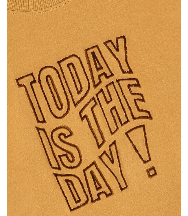 FW Minymo: T-shirt 134428 (Amber gold)