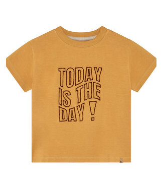Minymo FW Minymo: T-shirt 134428 (Amber gold)