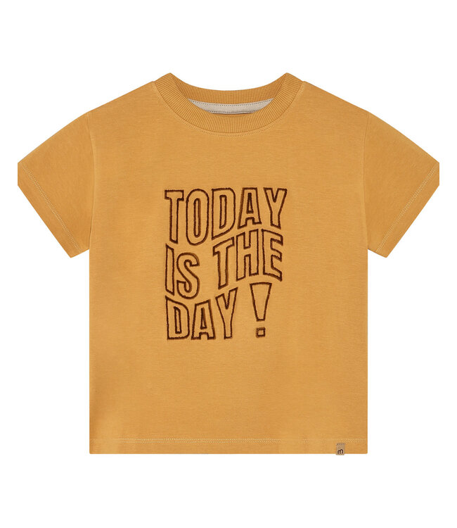 Minymo FW Minymo: T-shirt 134428 (Amber gold)