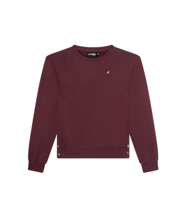 FW Awesome: Sweater Nina 500209 (Dark bordeaux)