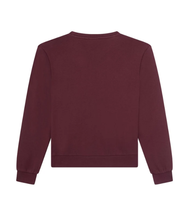 FW Awesome: Sweater Nina 500209 (Dark bordeaux)
